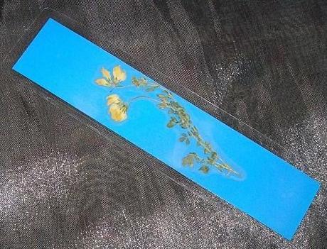 10 ideas muy baratas y caseras para regalar el día del padre 10 ideas muy baratas y caseras para regalar el día del padre