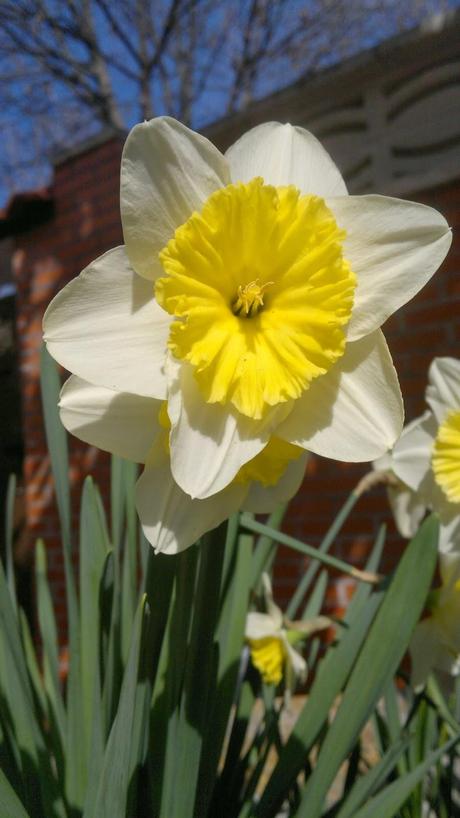 El cuento-mito de Narciso