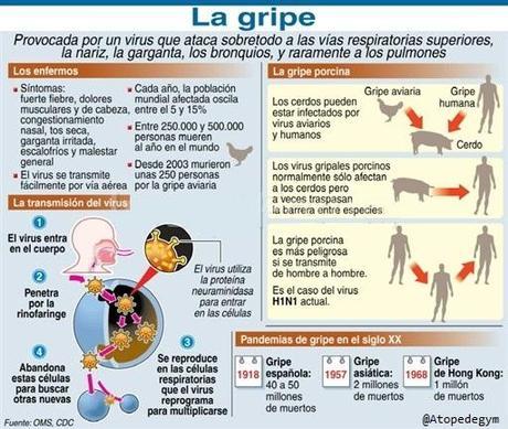 Vacuna contra la gripe y alternativas