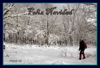 Nos llegan más felicitaciones