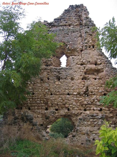 Nuevos elementos en la Lista Roja