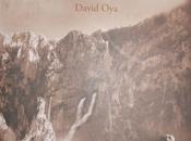 Concurso fotográfico comarca villas