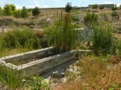 Colaboración para restauración Fuentes