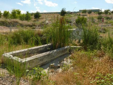 Colaboración para la restauración de Fuentes
