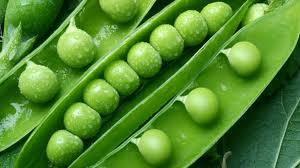 guisante Guisantes y habas frescas: ¡proteínas, vitaminas y minerales en cantidad!