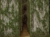 Trailer póster película Maze Runner Dylan O'Brien como protagonista