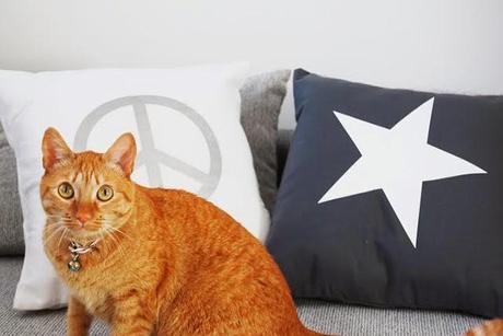 Protagonistas del mes de MARZO!