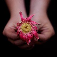 mi voz ya no es la misma