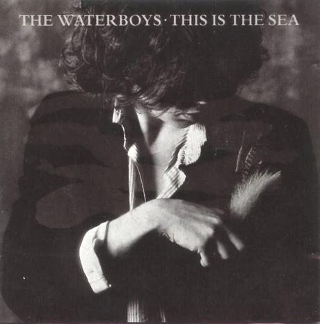 The Waterboys - The pan within (Live) (2007)