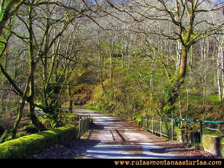 Ruta Pico Vízcares: Inicio de ruta en el área recreativa de la Pesanca