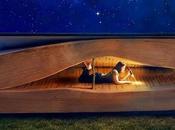 ¿Qué libro robado sueño?