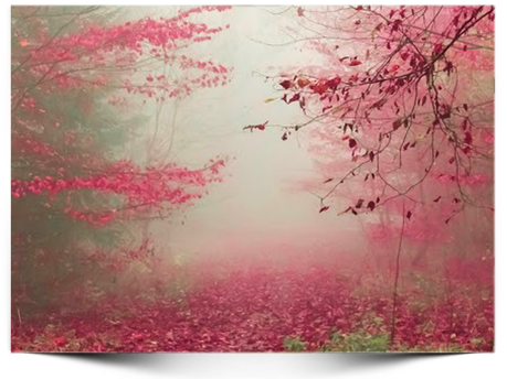 ¿Cómo afrontar la perdida?