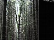 Girón: forest