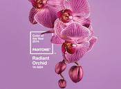 Color año: Orquídea Radiante.