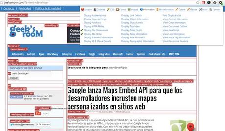 webdeveloper-ejemplo