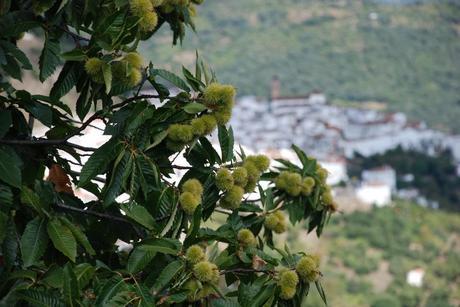 Sostenibilidad rentable en la industria de turismo y eventos de Andalucía Sostenibilidad a Medida - Sostenibilidad para eventos