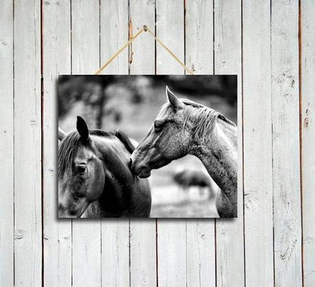 El año del caballo fbcde9671d6686becccfecc154453ba4