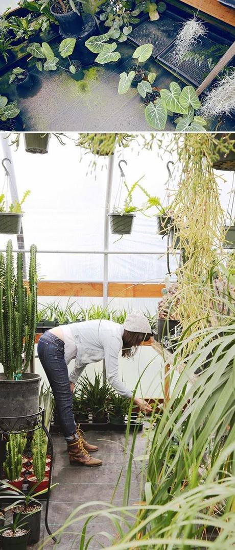 ABRIENDO LAS PUERTAS A LA PRIMAVERA...