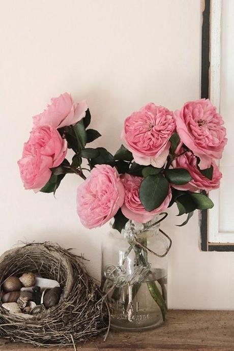 ABRIENDO LAS PUERTAS A LA PRIMAVERA...