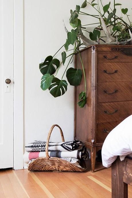 ABRIENDO LAS PUERTAS A LA PRIMAVERA...