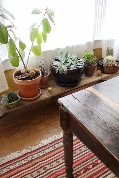 ABRIENDO LAS PUERTAS A LA PRIMAVERA...