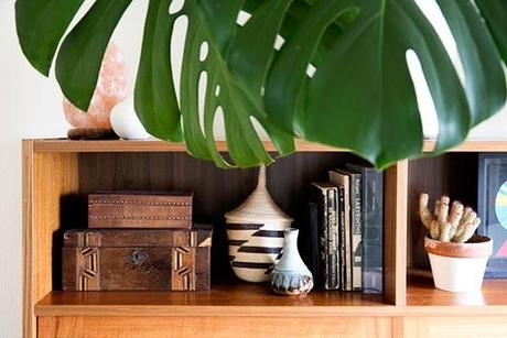 ABRIENDO LAS PUERTAS A LA PRIMAVERA...