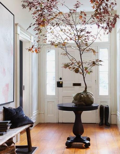 NUEVAS IDEAS PARA ZONAS DE PASO LOW COST