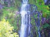 Cascada Mongayu