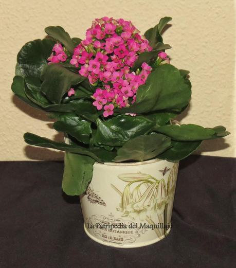 DECO Pequeños detalles I