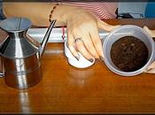 Consejos para combatir celulitis