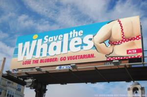 peta-save-the-whales