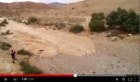 Renace el río Zin, en el desierto de Neguev