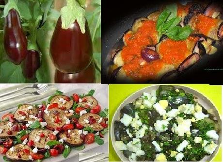 10 FABULOSAS PROPIEDADES DE LA BERENJENA