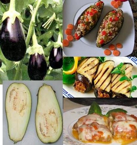 10 FABULOSAS PROPIEDADES DE LA BERENJENA