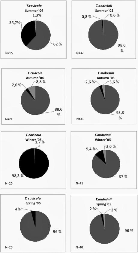 La dieta de dos especies de grillos cavernícolas de Italia