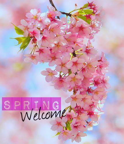 Welcome Spring!!!