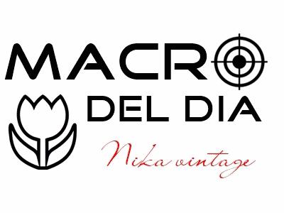 Blog hop, macro del dia ... revistas de cocina