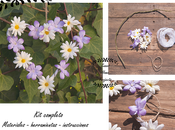 Nace "Sweet Home Projects"