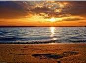 poder acción voluntad