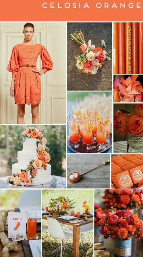 ¡Bienvenidos colores de la primavera 2014!