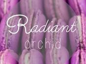 Trend alert: Radiant orchid
