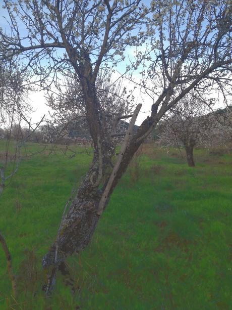 #PrimaveraEnfermera #PrimaveraEnfermera