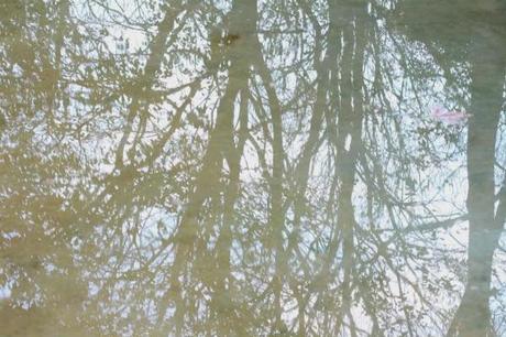 Blazer con zapatillas