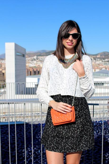  photo IMG_4805_zps97e6ab0c.jpg