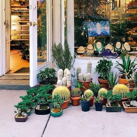 Buenos días primavera!