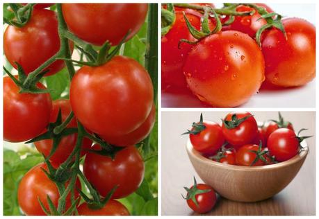 EL TOMATE Y SUS MARAVILLAS