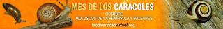 El mes de los caracoles en Biodiversidad Virtual
