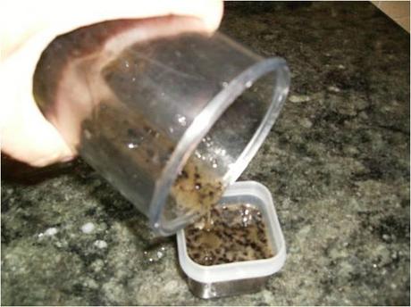 BRANDADA  DE  BACALAO CON CROCANTE DE PAN Y ACEITE DE OLIVAS NEGRAS