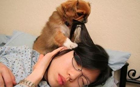 ¿Tu perro te despierta?