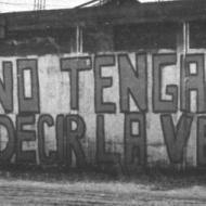 La Importancia de las Redes en la construcciĂłn de la Memoria. Un relato. VerĂłnica De Negri.